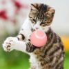 Pet Toy Automatic Rotating Ball Cat Teasing Ball